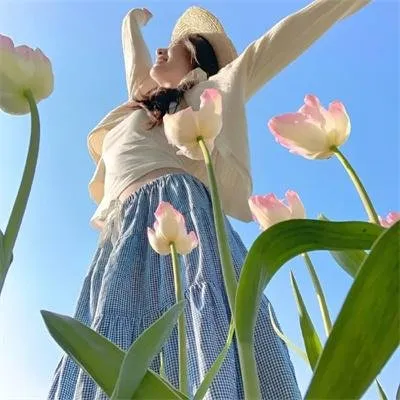 唐朝诡事录第一季免费观看