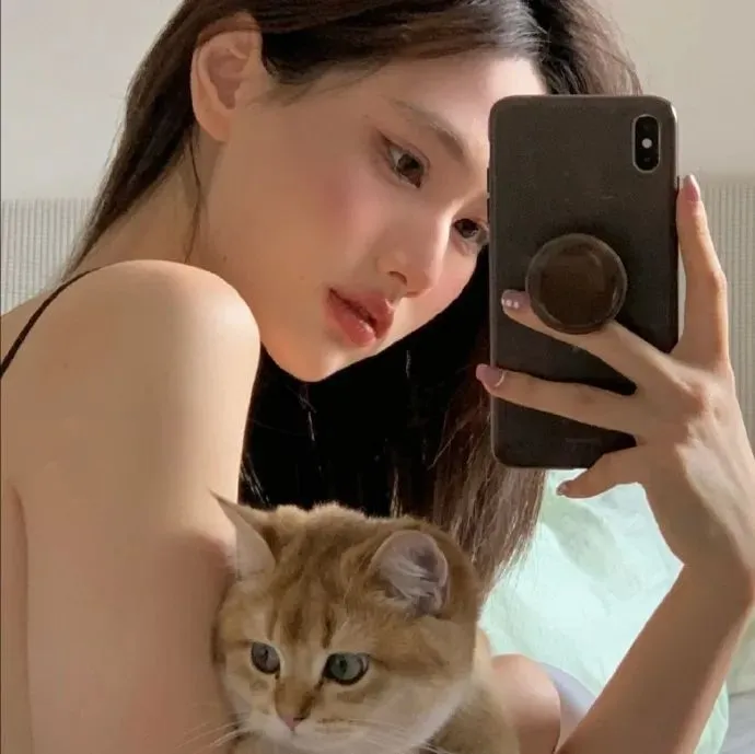 电视剧全集