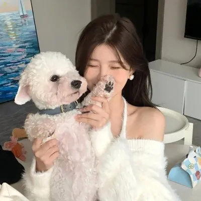 向往的生活第八季免费观看完整版